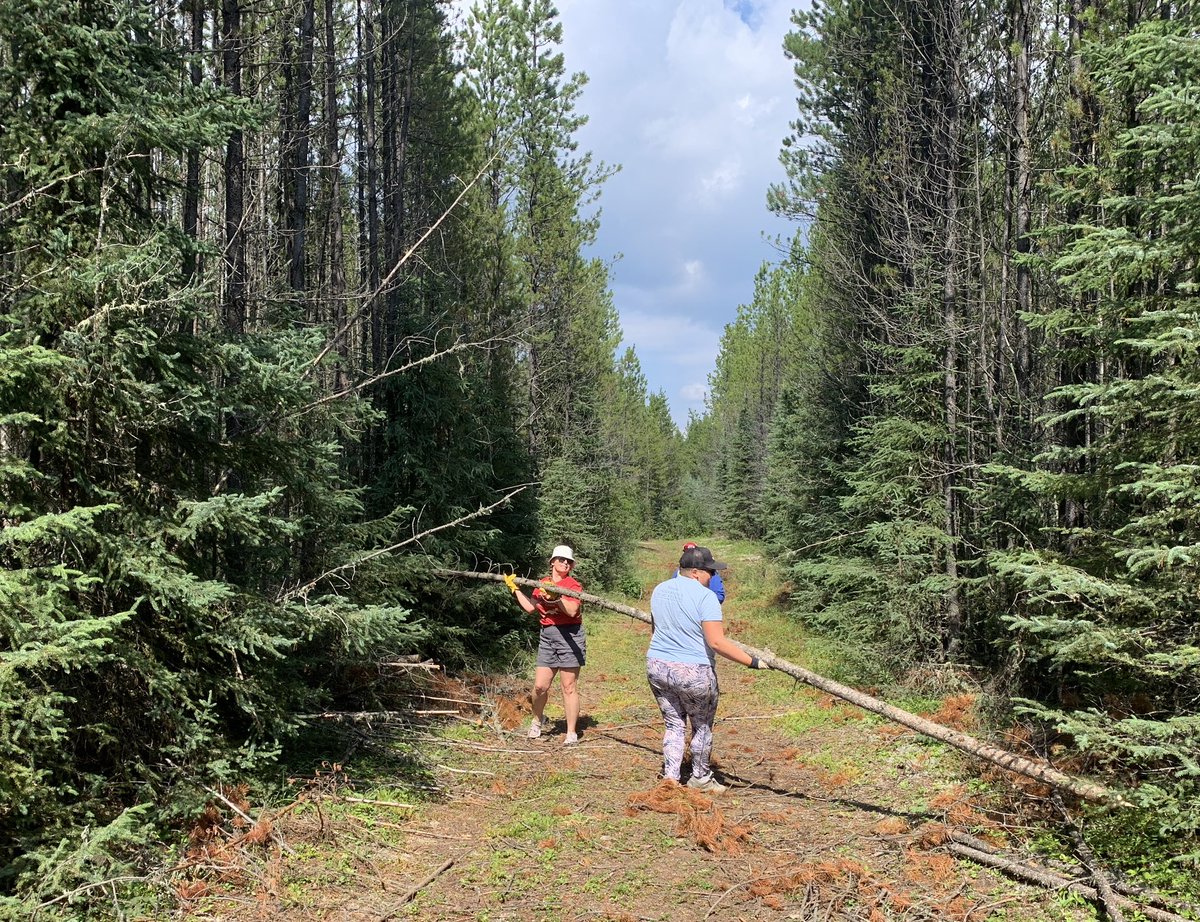 Indigenous Education Council tweet media