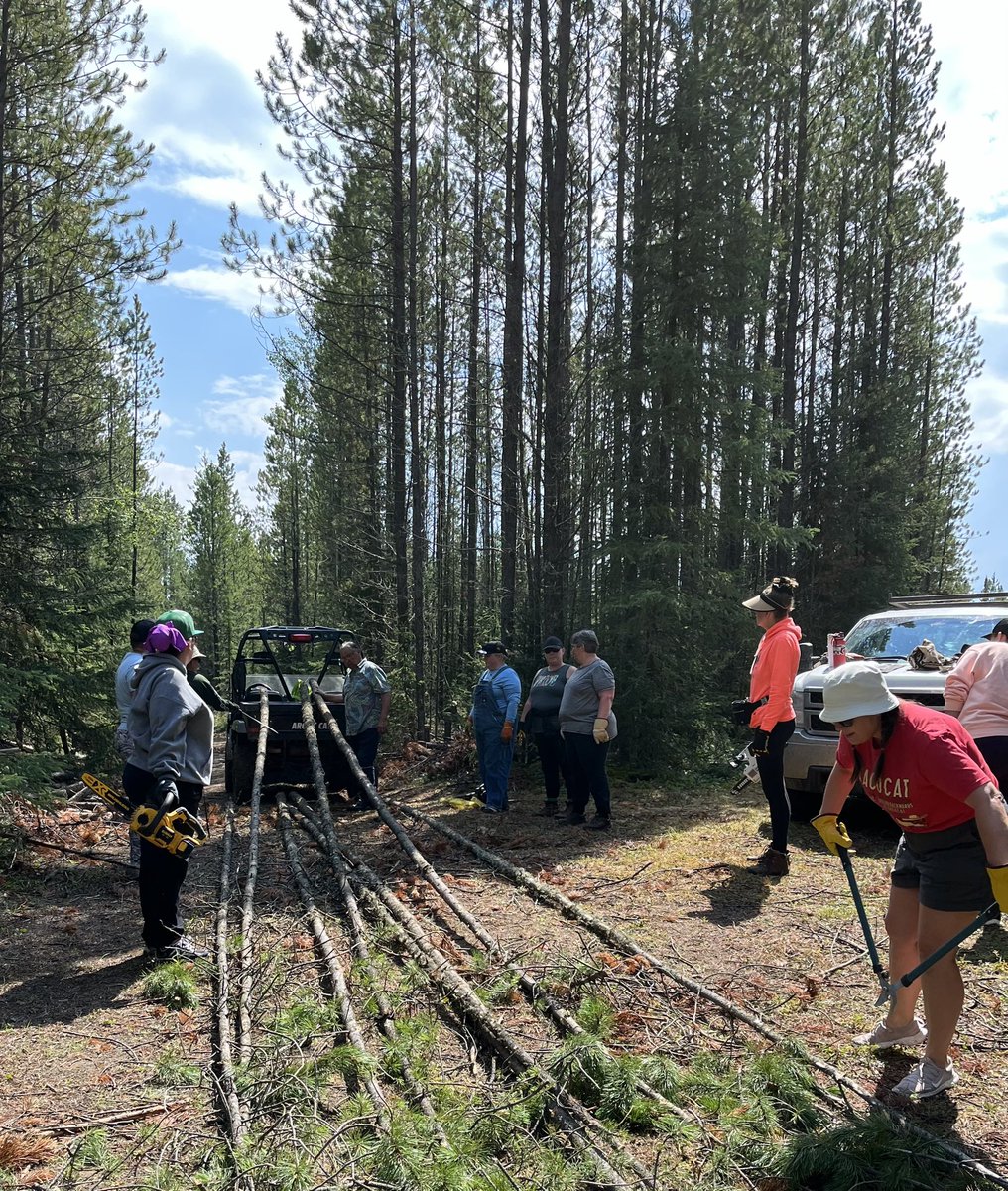 Indigenous Education Council tweet media
