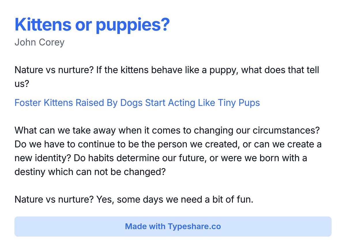 John Corey  tweet media