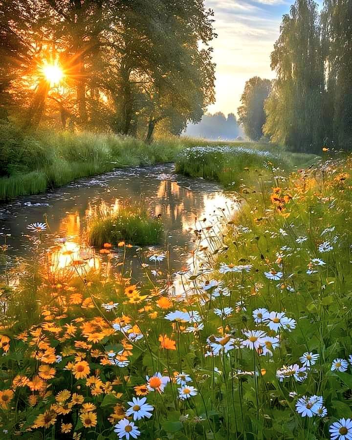Good morning ☀️