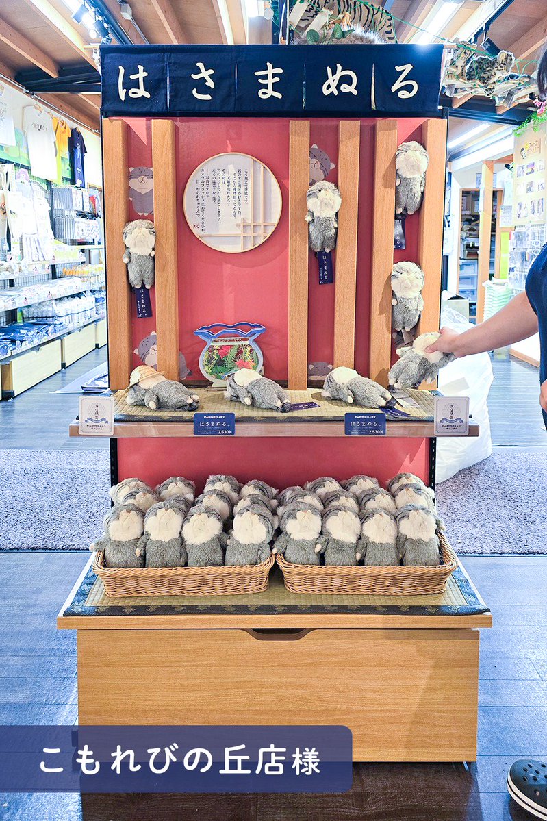 naito_design's tweet image. 🐾旭山動物園限定🐾
「#ぼうみたいなねこ」のおともだち、
「はさまぬる」が旭山動物園限定で登場✨

マヌルネコがモチーフで
毛並みもいつもよりふわふわ🧡

『いこいの広場店』『こもれびの丘店』で販売中🛒
いろんなところに挟んで可愛がってね🐾