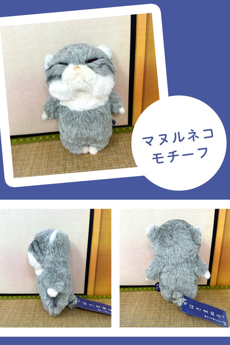 naito_design's tweet image. 🐾旭山動物園限定🐾
「#ぼうみたいなねこ」のおともだち、
「はさまぬる」が旭山動物園限定で登場✨

マヌルネコがモチーフで
毛並みもいつもよりふわふわ🧡

『いこいの広場店』『こもれびの丘店』で販売中🛒
いろんなところに挟んで可愛がってね🐾