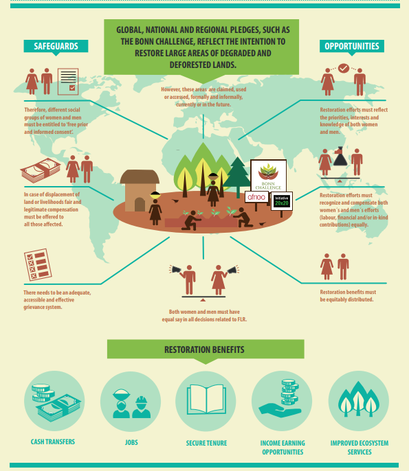 TheLandAlliance's tweet photo. 📑 Gender Matters in Forest Landscape Restoration (FLR)

This guide proposes steps to improve inclusion and increase the impact of women and #IndigenousPeoples in current and future multi-stakeholder forums.

Download a copy 🔗 https://t.co/9nyxPshZRO

#IndigenousPeoplesDay https://t.co/a4LG7qzCdA