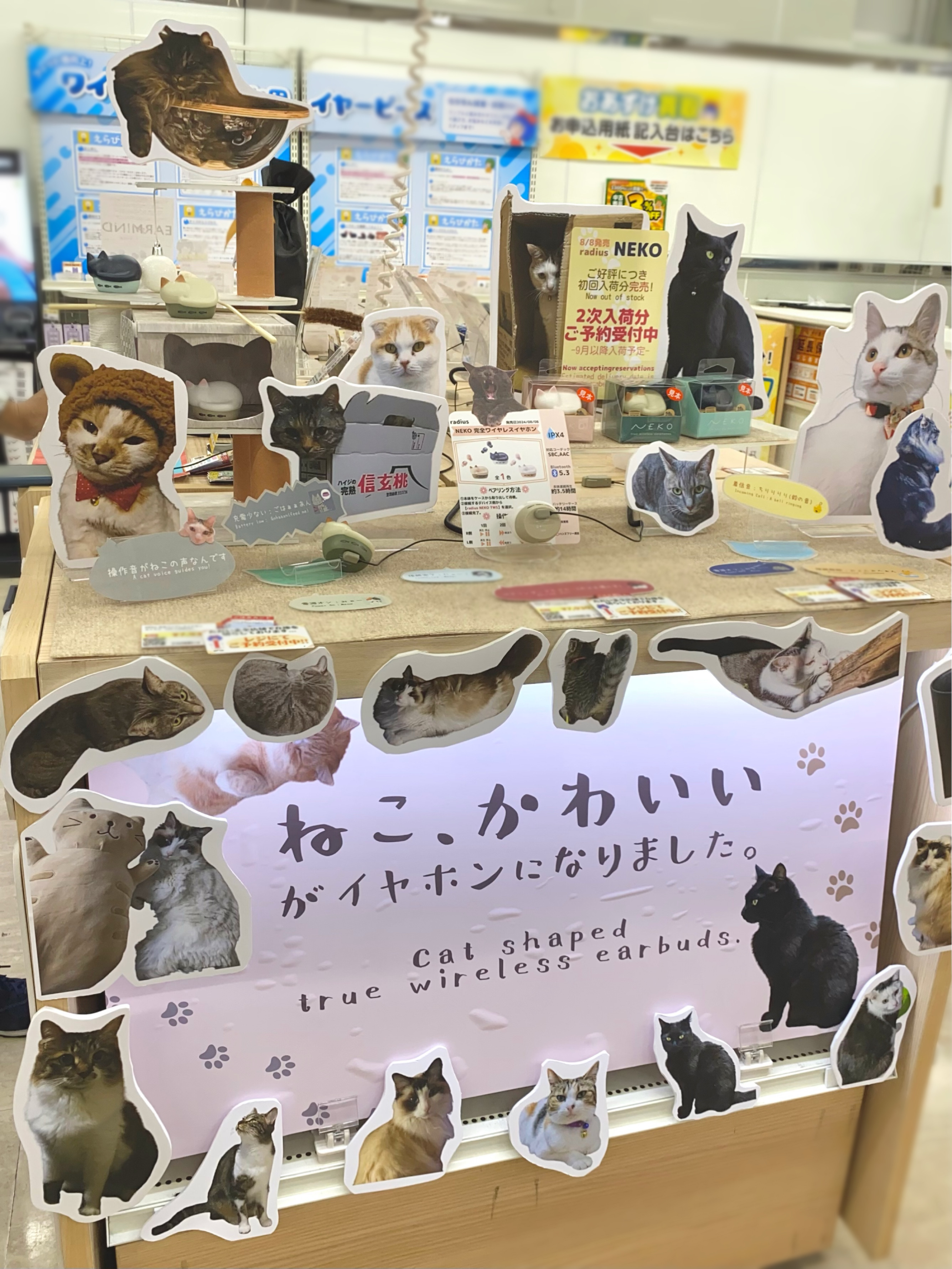 ラディウス on X: 