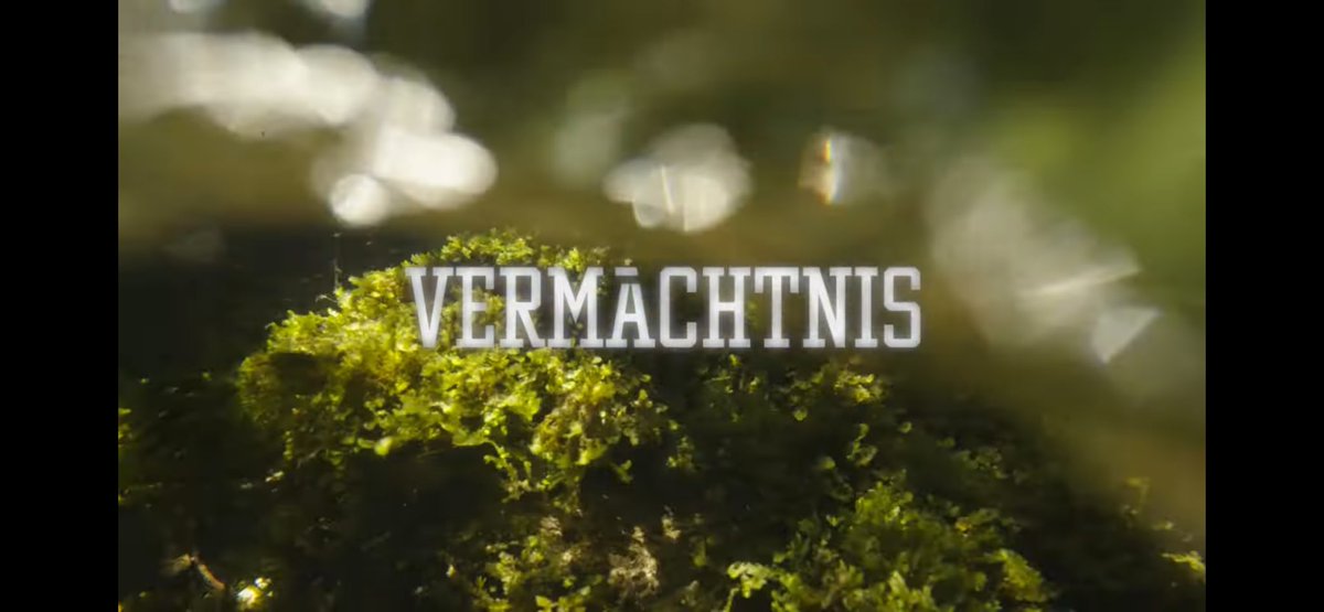 Nüä Song, nüüs Video. Was bliibt wämer mal nümä da sind? „Vermächtnis“ OUT NOW 

youtu.be/WJ_QdCY78-Q?si…