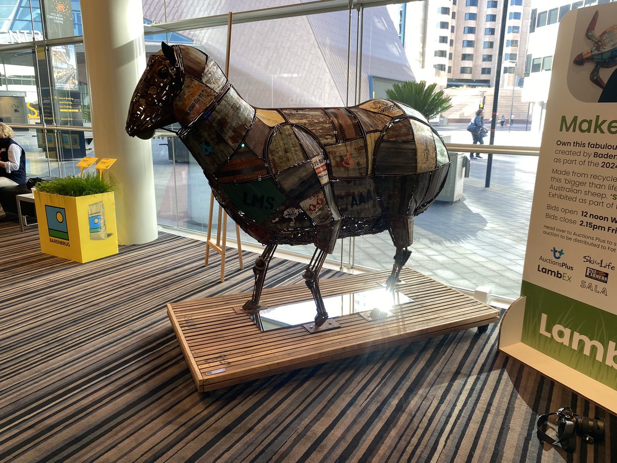 ClintNeville2's tweet photo. #lambex 🐑 🐏 🐑 https://t.co/xDaGEkT875