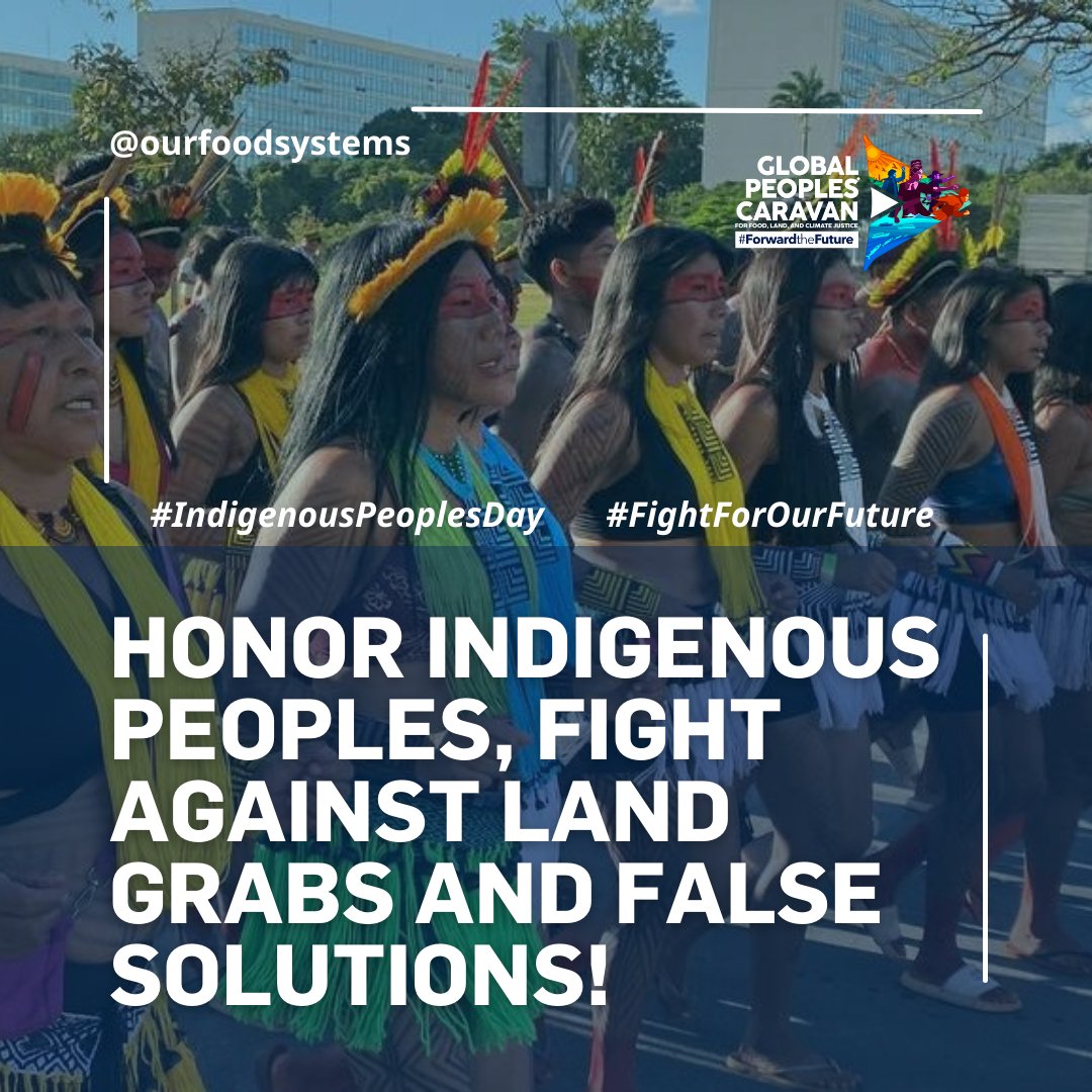 🌎This #IndigenousPeoplesDay, we honor and support Indigenous Peoples in their struggle for land and resources as they #FightForOurFuture towards just, equitable, healthy and sustainable food  systems!🌱

READ: panap.net/2024/08/honor-…
