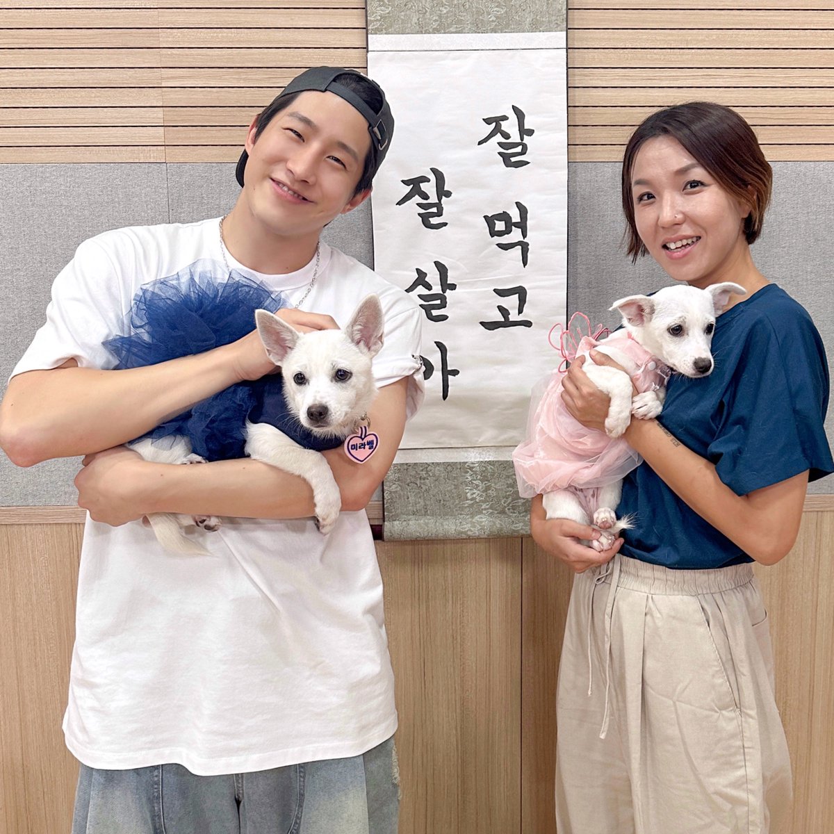 잠시 후 오후 4시
찐디의 흥미진진 w/미라벨 + 애리얼 🐶
귀여운 강아지 친구들과 함께하는 소중한 시간
함께 할까요?

🔗ebs.co.kr/radio/home 혹은
EBS FM 104.5 MHz에 채널 고정!!
응원 메시지도 많이 보내주세요😊 

#아스트로 #진진 #astro #jinjin #위액트