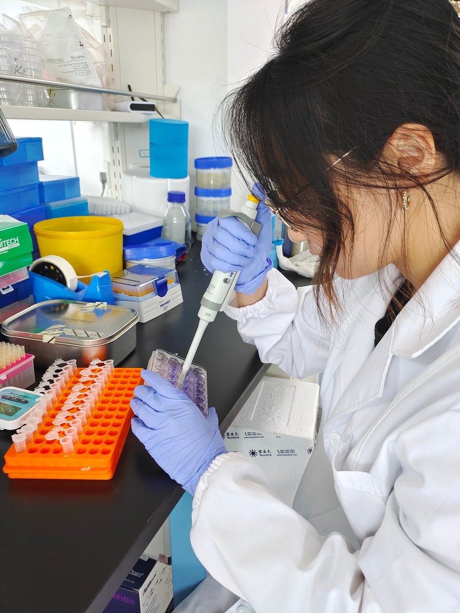 Zhejiang University tweet media