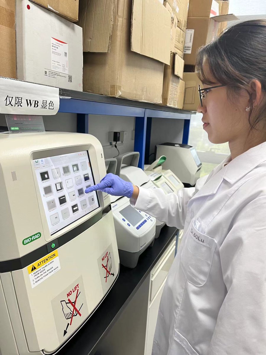 Zhejiang University tweet media