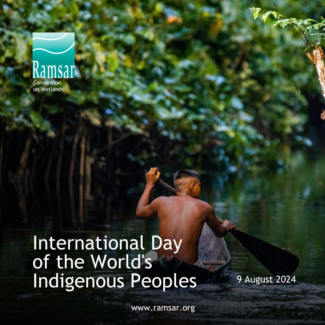 RamsarConv's tweet photo. Indigenous Peoples in voluntary isolation are the best protectors of our forests. When their collective rights to lands and territories are respected, forests and their cultures thrive. Their survival is key to safeguarding our planet’s biodiversity.

#IndigenousDay #Wetlands https://t.co/VYvtf7sdHn