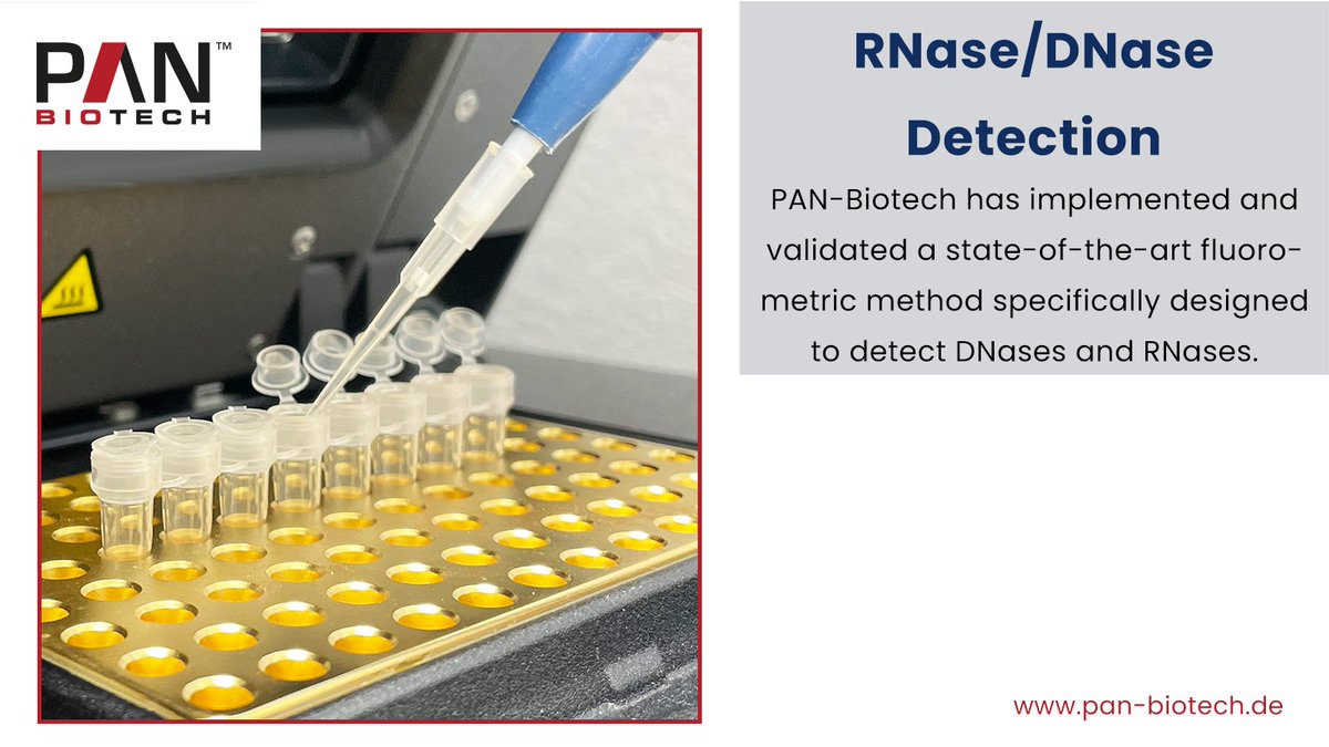 The use of DNA- &amp; RNA-based #pharmaceuticals is key in advancing treatments &amp; #vaccines . Purity of nucleic acids is crucial, requiring rigorous testing for DNases &amp; RNases. PAN-Biotech has validated a cutting-edge fluorometric method for reliable detection across various fields.