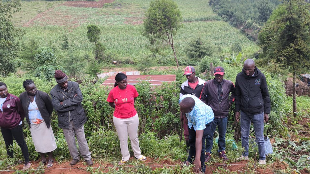 KariobangiSJC's tweet image. Through agroecology training, we aim to integrate traditional knowledge and food culture into sustainable practices.
#KilimoHaiKE #Agroecology4ClimateResilience #EqualRightsAndJusticeForAll
@koibatek_ogiek
@HakiNawiri
@landislife @Badili_A @FemnetProg @thePDFestival @falubbe