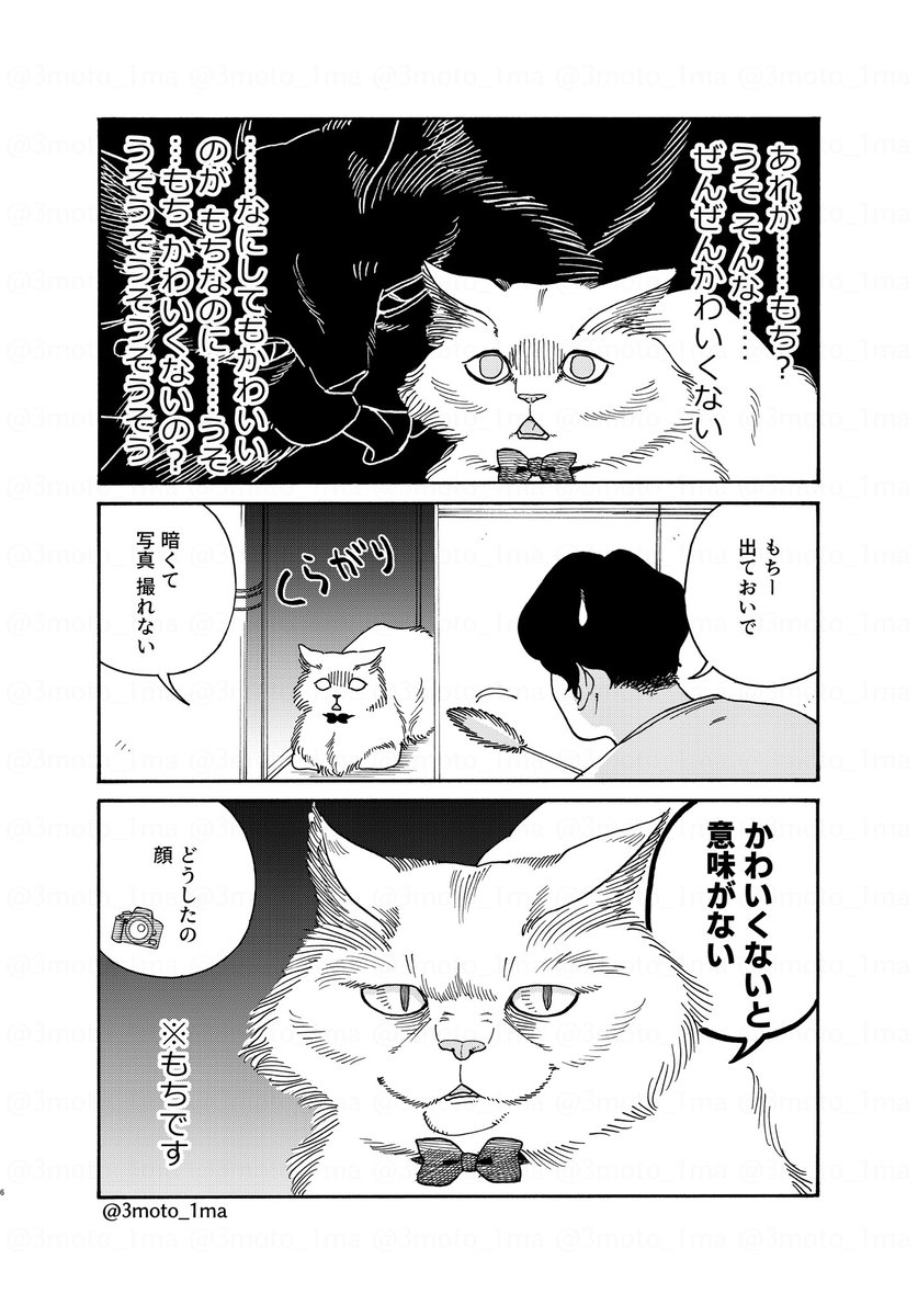 「ねこレンタルサービス」 モデル撮影 担当:もち(2/2)