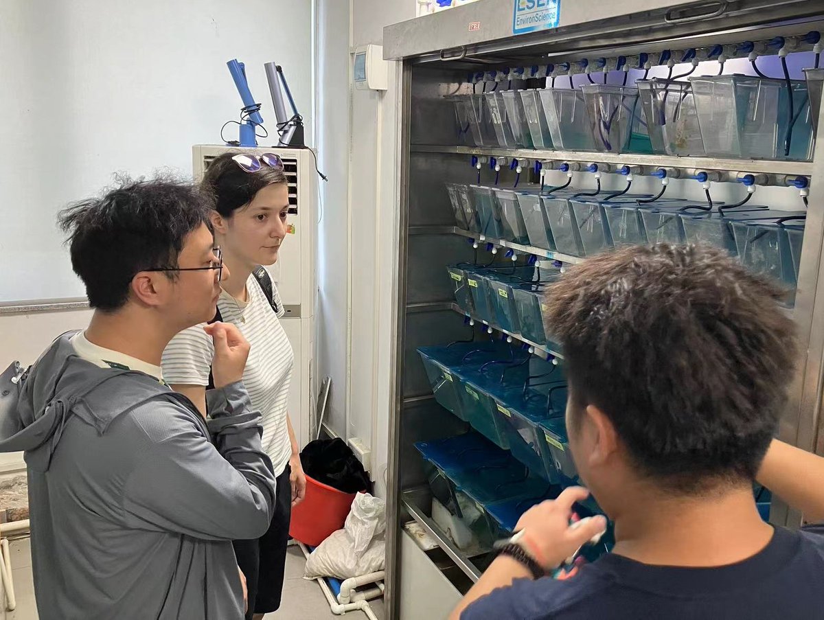 ZJU_China's tweet photo. 🌱Exciting research alert! Guided by Prof. WANG Mengcen at #ZJU’s College of Agriculture and Biotechnology, Verena Gschiel from @unisouthampton, delves into the world of plant-seed microbiome interactions! 🌾Phenotype screening, microbiome analysis, and core bacterial endophyte isolation – all to understand disease resistance in rice!🌿🔬

#GripS #GlobalZJU #PlantMicrobiome #ScienceInAction