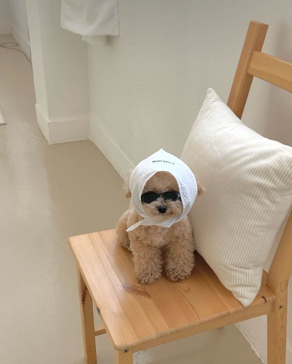 Solanacattrader's tweet photo. @Dior100x $BOUGIE https://t.co/s1bqF8bND5