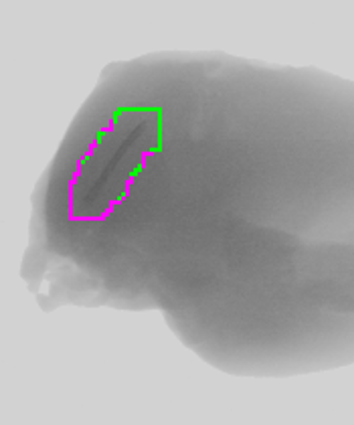 How do our X-ray inspection systems work? How do they reject products from a line? 

To find out, and see our full range of X-ray inspection systems, head over to our website here: ishidaeurope.com/en/products/in…