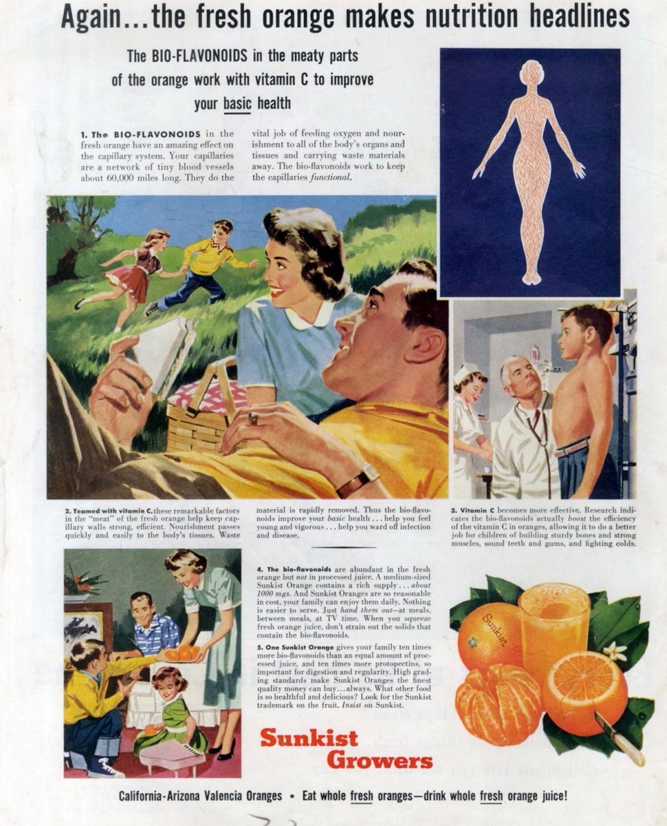 LRonLacy's tweet photo. In #AUGUST 1956
‘Again. . .the fresh orange makes nutrition headlines’
Sunkist Growers. August 1956.
🧵👇
#illustration #illustrationart #health #nutrition #growth #orangejuice #flavonoids #bioflavonoids #oranges #citrus #1950s #womensfashion #mensfashion #chidrensfashion https://t.co/D4CfjaXMK2