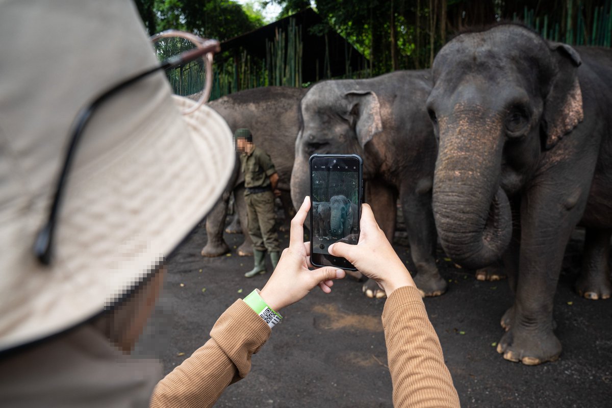 World Animal Protection ANZ (@movetheworldau) on Twitter photo Our latest report warns holidaymakers of the worst-offending animal tourism venues partnered with the popular travel website GetYourGuide.
Thank you <a href="/AUSLEISURE/">AusLeisure</a> for this important write up: ausleisure.com.au/news/report-sh…
Image credit: Andito Wasi 📸 Our latest report warns holidaymakers of the worst-offending animal tourism venues partnered with the popular travel website GetYourGuide.
Thank you <a href="/AUSLEISURE/">AusLeisure</a> for this important write up: ausleisure.com.au/news/report-sh…
Image credit: Andito Wasi 📸