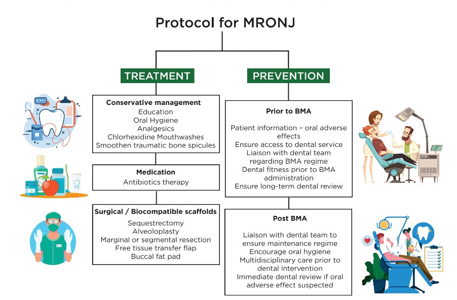 Harriet Byrne (@drharrietbyrne) on Twitter photo The Dental Oncology Interface: Pleased to see our review of MORNJ published👇
Clinical Scenarios✅
Tx & Prevention Strategies✅
Implications for Care Delivery✅
🙏 to coauthors <a href="/Seamusoreilly18/">Seamus O’Reilly MD PhD</a> <a href="/CathWeadick/">Catherine Weadick</a> <a href="/UCCMedHealth/">UCC Medicine & Health</a> <a href="/CanResUCC/">Cancer Research @UCC</a> <a href="/dental_cork/">Cork Dental School </a>
Link:link.springer.com/content/pdf/10… The Dental Oncology Interface: Pleased to see our review of MORNJ published👇
Clinical Scenarios✅
Tx & Prevention Strategies✅
Implications for Care Delivery✅
🙏 to coauthors <a href="/Seamusoreilly18/">Seamus O’Reilly MD PhD</a> <a href="/CathWeadick/">Catherine Weadick</a> <a href="/UCCMedHealth/">UCC Medicine & Health</a> <a href="/CanResUCC/">Cancer Research @UCC</a> <a href="/dental_cork/">Cork Dental School </a>
Link:link.springer.com/content/pdf/10…