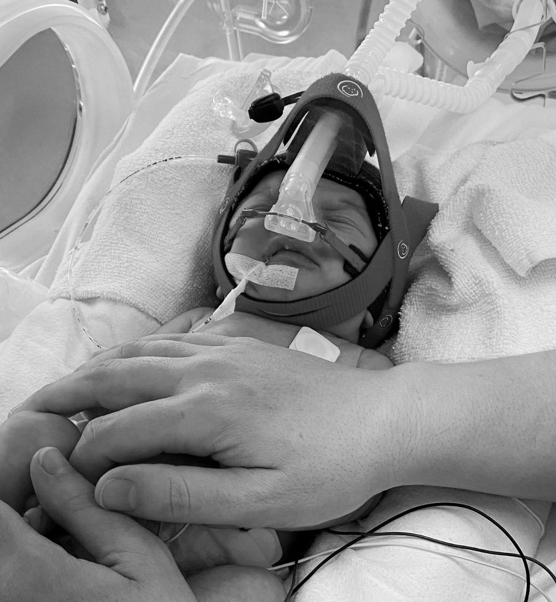 𝙳𝚊𝚕𝚎 𝚆𝚊𝚛𝚋𝚞𝚛𝚝𝚘𝚗 tweet media