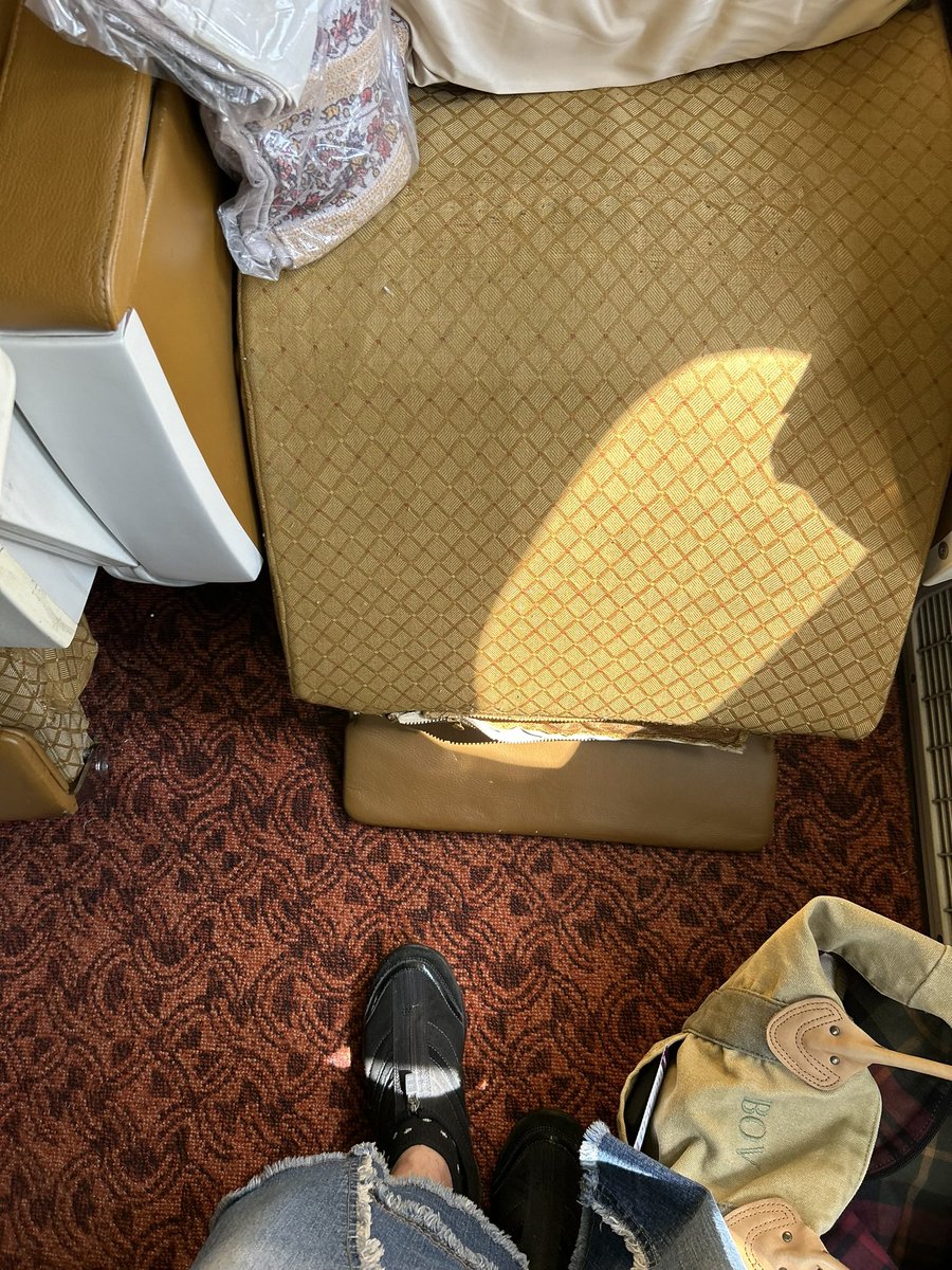 Bindu Verma tweet media