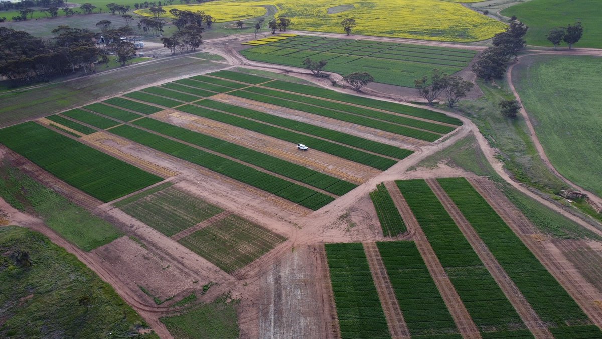 Delta Agribusiness WA tweet media