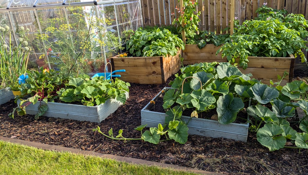 Korina 💜✨🐛 tweet media