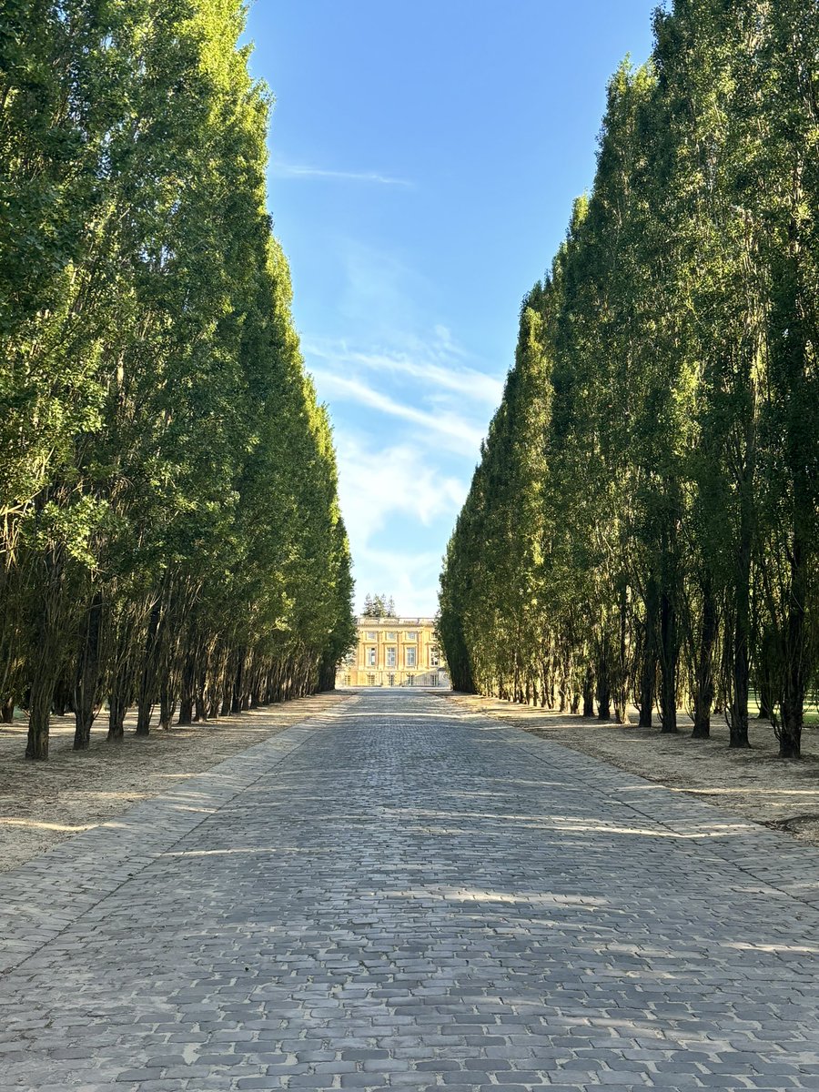 J_Coates78's tweet photo. The Palace of Versailles and its grounds have seen a lot. 

Today: #modernpentathlon at #Paris2024

I did a recce this morning 🏃 

For better pictures: Flickr @WorldPentathlon 

https://t.co/6mg2oiMj4q https://t.co/ox49aCP8oZ