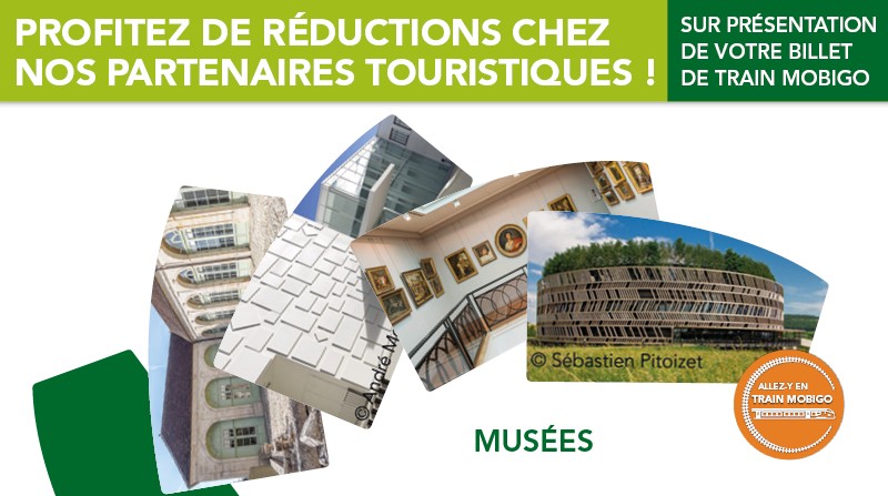 TRAIN Mobigo par SNCF Voyageurs tweet media