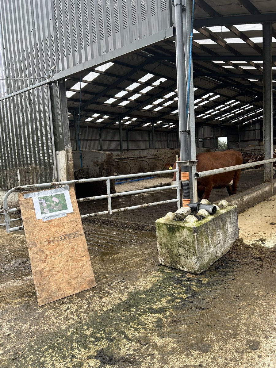 Attended the Lely open day in Strabane on Wednesday. Very interesting to see robots working in a grazing system!