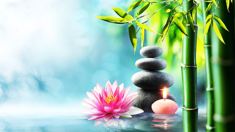 🖼Bình yên là cảm giác xuất phát từ nội tâm. Đó là khi chúng ta vui vẻ, thoải mái, cảm thấy hài lòng với những điều mình đang có; là khi ta sống lạc quan, tích cực; không tham lam, đấu đá, tranh giành; không suy nghĩ, ghen ghét, đố kỵ với những người xung