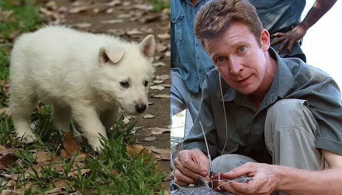 Addictoftea1807's tweet photo. Australian zoologist Adam Britton pleaded guilty last year to 56 charges bestiality &amp; animal cruelty &amp; now doing 10 years &amp; 5 months in prison &amp; be eligible for parole in 2028.

His crime involved the torture &amp; sexual exploitation of 42 dogs &amp; 39 deaths which included puppies. https://t.co/RTEBPT7smq