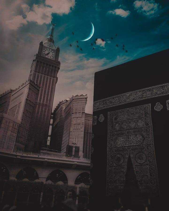 🦋᭄⃠ 🇲ᵃʰⁱ شیخ 🦋᭄⃠ tweet media