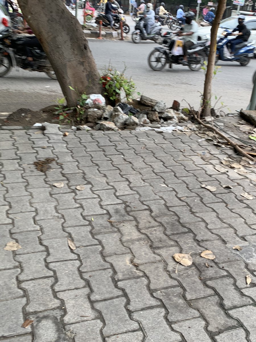 shrava's tweet photo. @LtGovDelhi @official_dda @MCD_Delhi https://t.co/rJWzleoEps