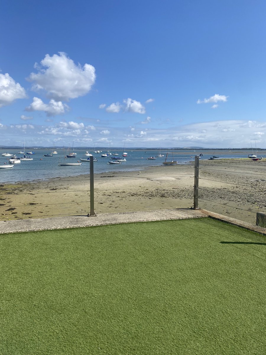 Steve Bell tweet media