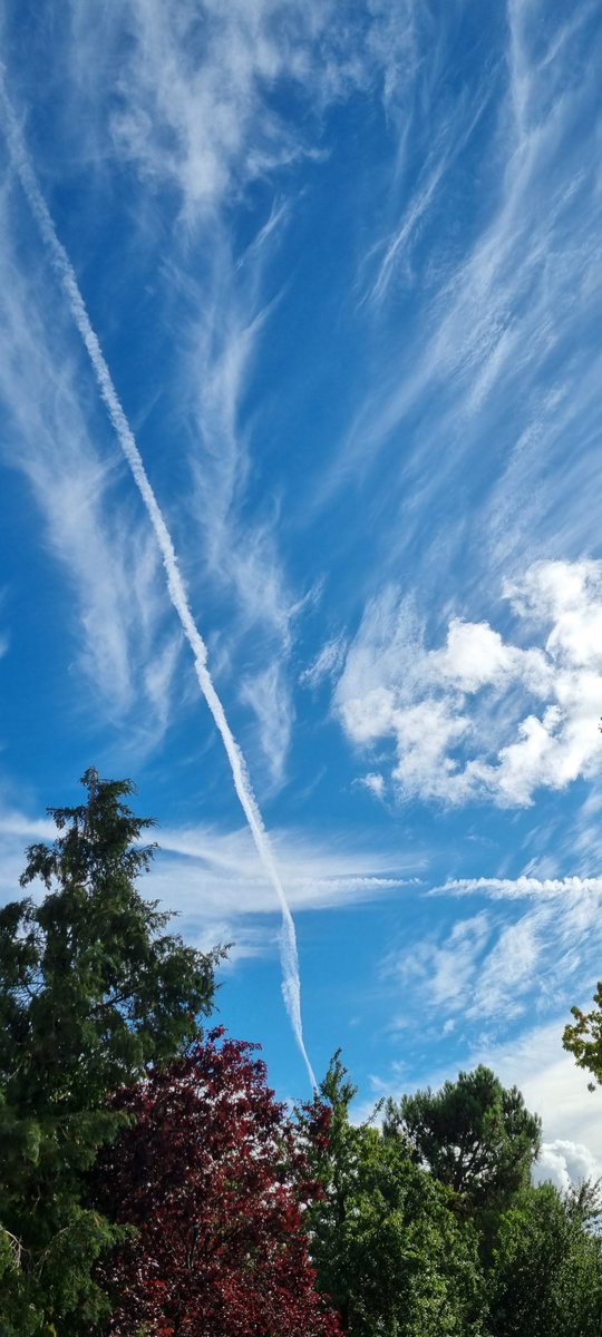 chelmsfordiana's tweet image. Just a gentle reminder.
Whilst we're all distracted screaming at eachother,this is quietly going on and has been for a LONG time.
Soon nobody will be screaming about anything.You'll be too hungry.
#geoengineering #WeatherManipulation #SolarRadiationManagement #lookup