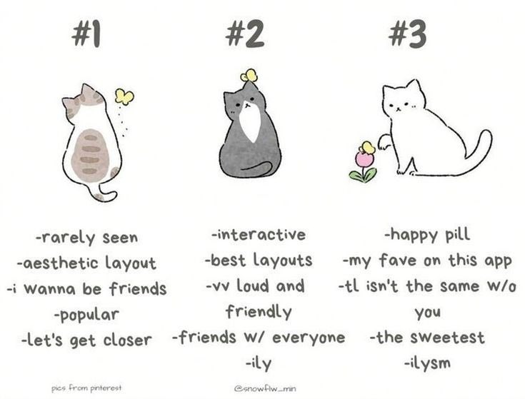 hii it’s been awhile ! iwm (≧∇≦)ﾉ