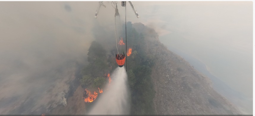 Naturaleza Castilla y León tweet media