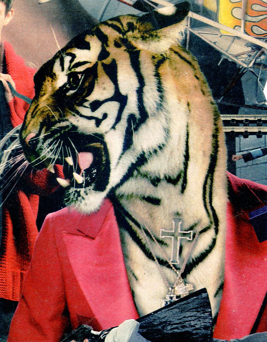 Mini Grey tweet media