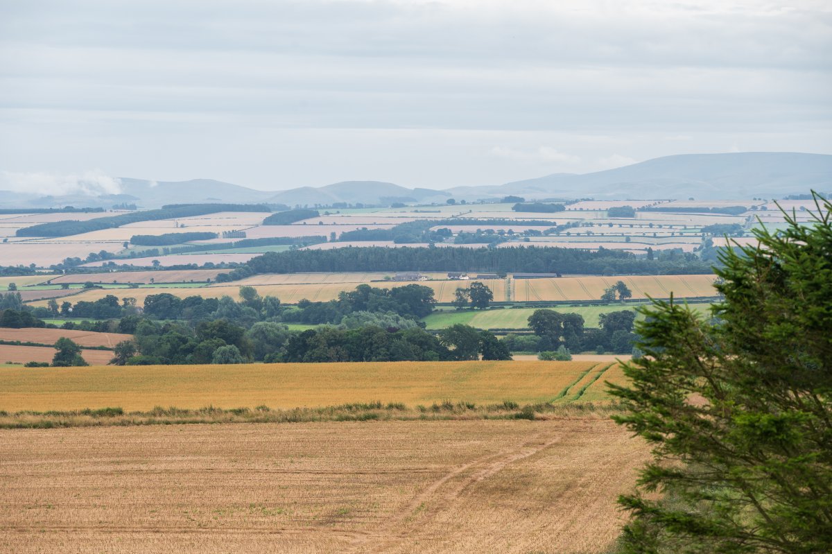 Galbraith Scottish Borders tweet media