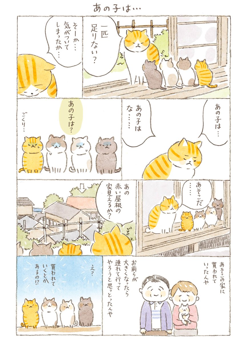 5匹拾ったはずの子猫がいつの間にか4匹に…
1匹どこへ行っちゃったの?と皆様から聞かれまして
どれどれ🤔1.2.3.4…と確認したら
確かに足りないではないですか😳
ということで描いた漫画でした😅
お便りくださった皆様ありがとうございました💕
これからも「ねことじいちゃん」宜しくお願いします☺️ 