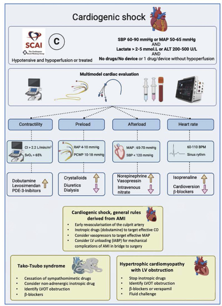 Today's Paper of the Day is on the medical treatment of cardiogenic shock
criticalcarereviews.com/latest-evidenc…

Join us to read 1 paper per day and stay up-to-date as we cover the spectrum of critical care across 2024
