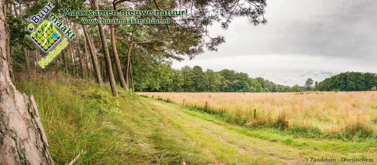 buurmaaktnatuur's tweet photo. 't Zandduin zoals het er nu nog bij is gelegen. Een oud extensief weiland aan de voet van het rivierduin De Wrange. Over een jaar zal 't Zandduin zijn ingericht tot nieuw natuurgebied.

Alle informatie over het terrein: https://t.co/8PVa3DXmey

Foto: Wilber Thus https://t.co/iDkdqTpCcx