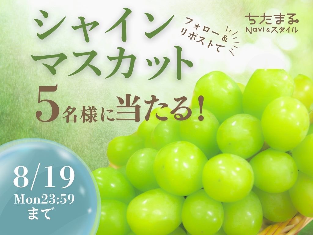 chitamaru_navi's tweet photo. 大府市産　朝採れ ＃シャインマスカット　を5名様にプレゼント🎁

【応募方法】 ①@chitamaru_navi をフォロー ②この投稿をリポスト 併せてInstagramもフォローすると当選確率UP✨
 【締切】 8/19(月)23:59

皆さんのご応募お待ちしております！

#キャンペーン　#懸賞　#大府市 https://t.co/XVYlTszDCE