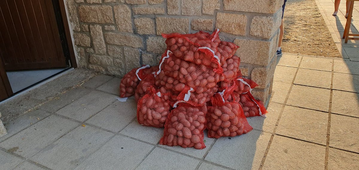 La Aliseda de Tormes tweet media