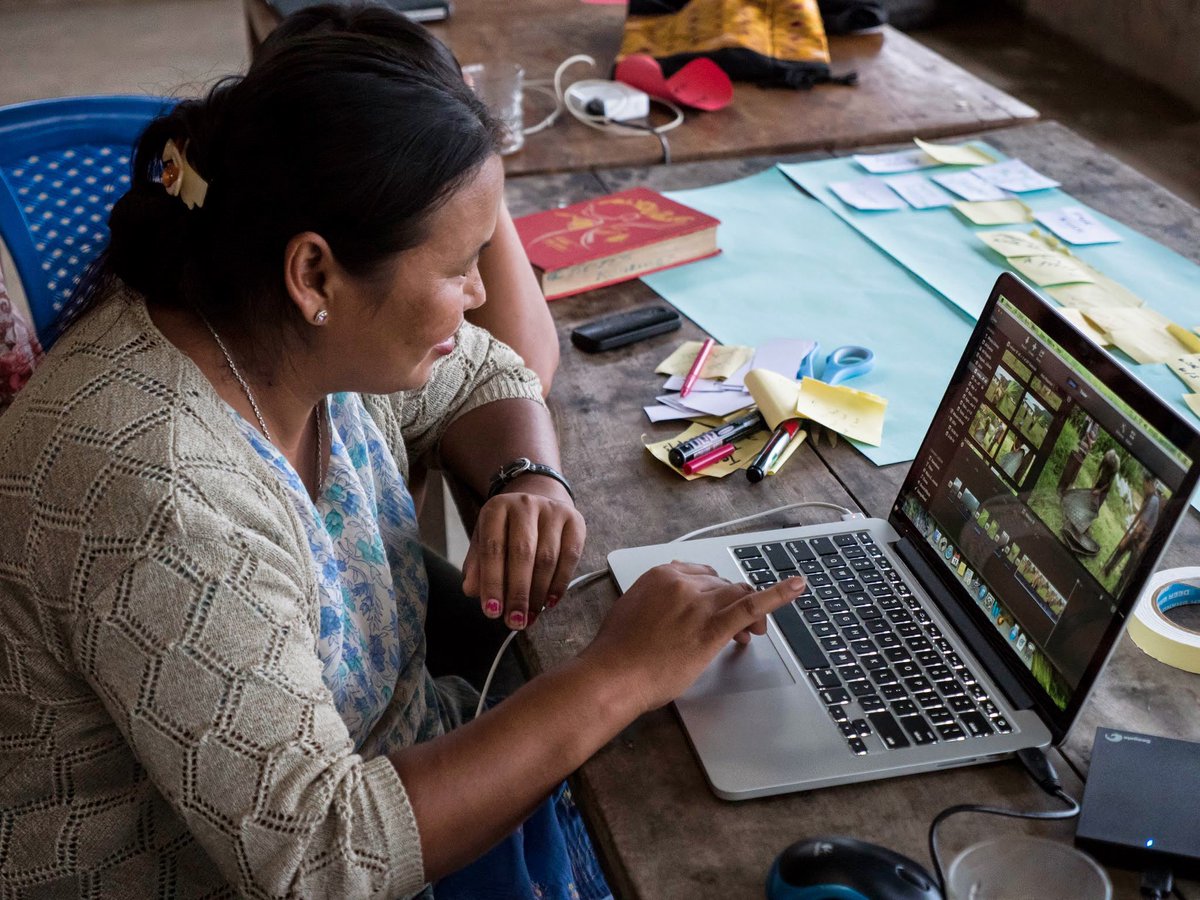 InsightShare tweet media