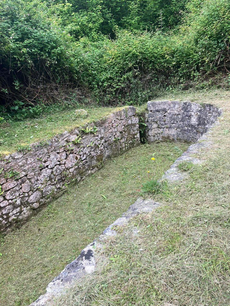lejog52's tweet photo. @tessofthevale @Badgerales Excellent article thank you. The walk from Lyme to Seaton is one of my regular weekly walks. The Undercliffe is a magical place and is home to many marsh Helliborine orchids and the now scarce Wood White butterfly https://t.co/PhKoNjbk3d