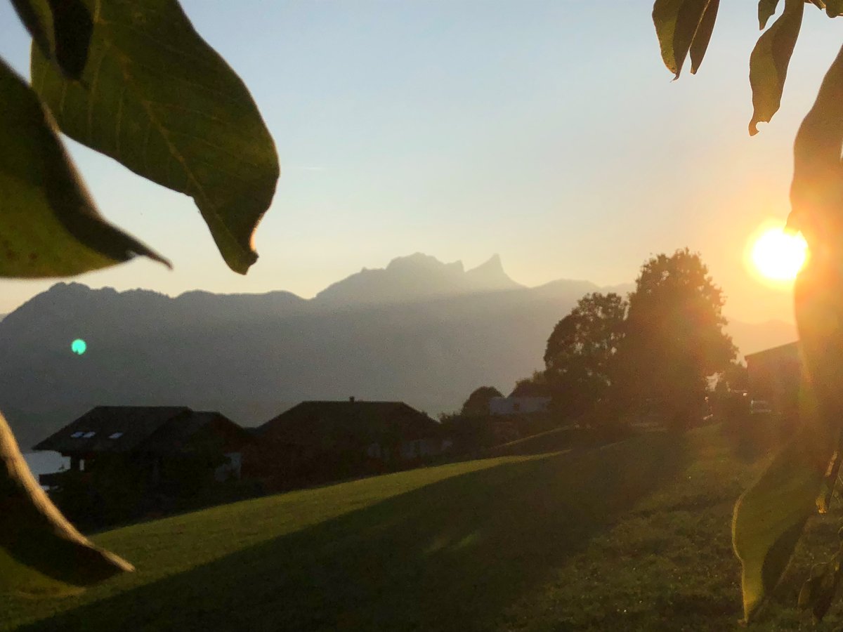 MeteoSchweiz hat eine Hitzewarnung der Stufe 3 für das Wochenende herausgegeben. 

Zur Erinnerung: Drei goldenen Regeln für Hitzetage:
🧘 Körperliche Anstrengung vermeiden
💧 Hitze fernhalten – Körper kühlen
🍦 Viel trinken – leicht essen

Weitere Tipps: tinyurl.com/28dxor2x