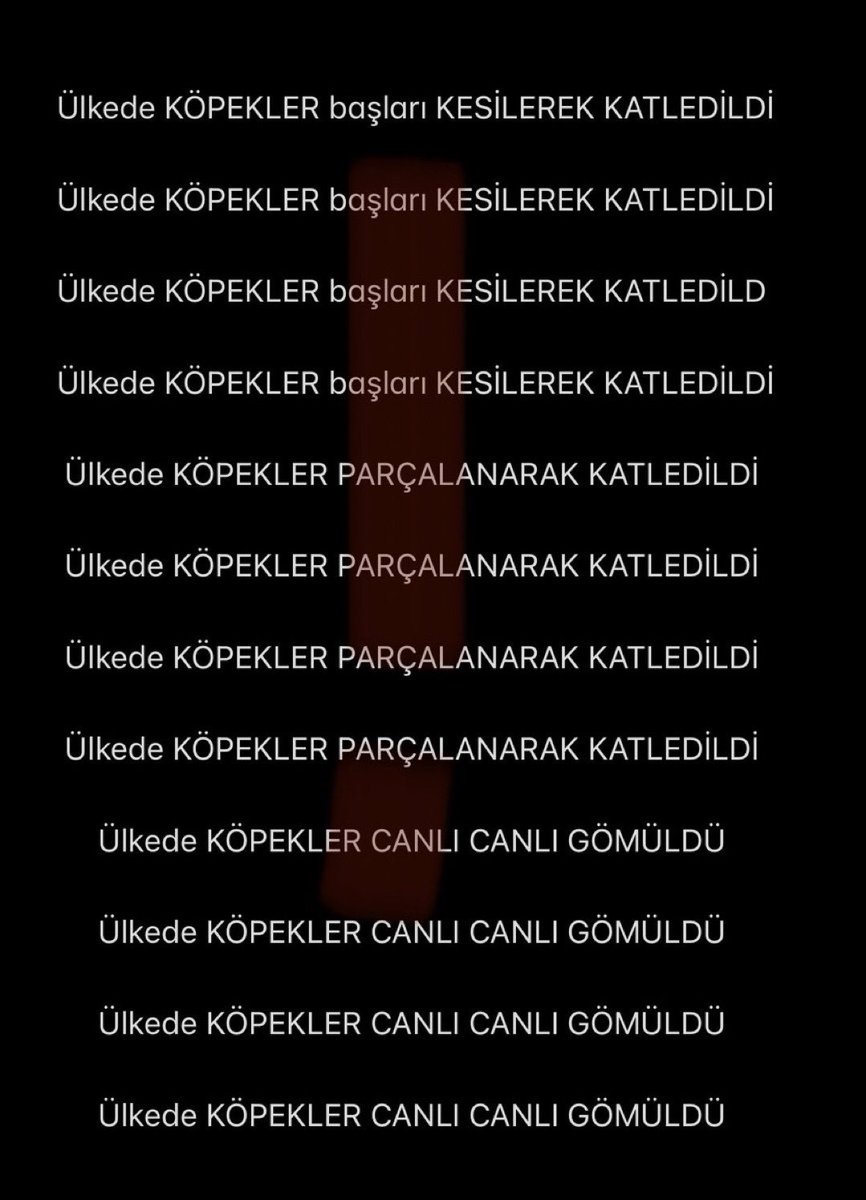 Newstimesturkey (@nwstimesturkey) on Twitter photo 